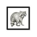 Picture of Forest Raccoon  _GroupedProduct_Square_Mini_ _GroupedProduct_Square_Framed_Matted_