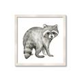 Picture of Forest Raccoon  _GroupedProduct_Square_Mini_ _GroupedProduct_Square_Framed_Matted_