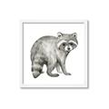 Picture of Forest Raccoon  _GroupedProduct_Square_Mini_ _GroupedProduct_Square_Framed_Matted_