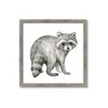 Picture of Forest Raccoon  _GroupedProduct_Square_Mini_ _GroupedProduct_Square_Framed_Matted_