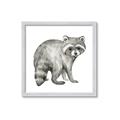 Picture of Forest Raccoon  _GroupedProduct_Square_Mini_ _GroupedProduct_Square_Framed_Matted_