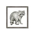 Picture of Forest Raccoon  _GroupedProduct_Square_Mini_ _GroupedProduct_Square_Framed_Matted_