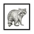 Picture of Forest Raccoon  _GroupedProduct_Square_Mini_ _GroupedProduct_Square_Framed_Matted_