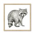 Picture of Forest Raccoon  _GroupedProduct_Square_Mini_ _GroupedProduct_Square_Framed_Matted_