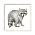 Picture of Forest Raccoon  _GroupedProduct_Square_Mini_ _GroupedProduct_Square_Framed_Matted_