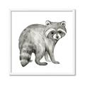 Picture of Forest Raccoon  _GroupedProduct_Square_Mini_ _GroupedProduct_Square_Framed_Matted_