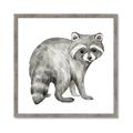 Picture of Forest Raccoon  _GroupedProduct_Square_Mini_ _GroupedProduct_Square_Framed_Matted_