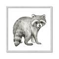 Picture of Forest Raccoon  _GroupedProduct_Square_Mini_ _GroupedProduct_Square_Framed_Matted_