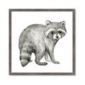 Picture of Forest Raccoon  _GroupedProduct_Square_Mini_ _GroupedProduct_Square_Framed_Matted_