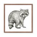 Picture of Forest Raccoon  _GroupedProduct_Square_Mini_ _GroupedProduct_Square_Framed_Matted_