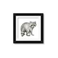 Picture of Forest Raccoon  _GroupedProduct_Square_Mini_ _GroupedProduct_Square_Framed_Matted_