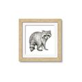 Picture of Forest Raccoon  _GroupedProduct_Square_Mini_ _GroupedProduct_Square_Framed_Matted_
