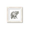 Picture of Forest Raccoon  _GroupedProduct_Square_Mini_ _GroupedProduct_Square_Framed_Matted_