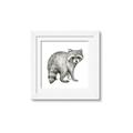 Picture of Forest Raccoon  _GroupedProduct_Square_Mini_ _GroupedProduct_Square_Framed_Matted_