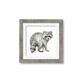 Picture of Forest Raccoon  _GroupedProduct_Square_Mini_ _GroupedProduct_Square_Framed_Matted_