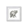 Picture of Forest Raccoon  _GroupedProduct_Square_Mini_ _GroupedProduct_Square_Framed_Matted_