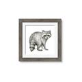 Picture of Forest Raccoon  _GroupedProduct_Square_Mini_ _GroupedProduct_Square_Framed_Matted_