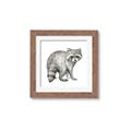 Picture of Forest Raccoon  _GroupedProduct_Square_Mini_ _GroupedProduct_Square_Framed_Matted_