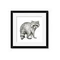 Picture of Forest Raccoon  _GroupedProduct_Square_Mini_ _GroupedProduct_Square_Framed_Matted_