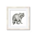 Picture of Forest Raccoon  _GroupedProduct_Square_Mini_ _GroupedProduct_Square_Framed_Matted_