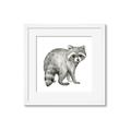 Picture of Forest Raccoon  _GroupedProduct_Square_Mini_ _GroupedProduct_Square_Framed_Matted_