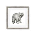 Picture of Forest Raccoon  _GroupedProduct_Square_Mini_ _GroupedProduct_Square_Framed_Matted_