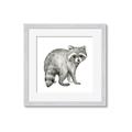 Picture of Forest Raccoon  _GroupedProduct_Square_Mini_ _GroupedProduct_Square_Framed_Matted_