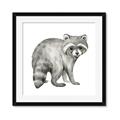 Picture of Forest Raccoon  _GroupedProduct_Square_Mini_ _GroupedProduct_Square_Framed_Matted_