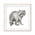 Picture of Forest Raccoon  _GroupedProduct_Square_Mini_ _GroupedProduct_Square_Framed_Matted_