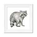 Picture of Forest Raccoon  _GroupedProduct_Square_Mini_ _GroupedProduct_Square_Framed_Matted_