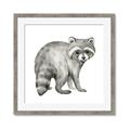Picture of Forest Raccoon  _GroupedProduct_Square_Mini_ _GroupedProduct_Square_Framed_Matted_