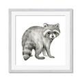 Picture of Forest Raccoon  _GroupedProduct_Square_Mini_ _GroupedProduct_Square_Framed_Matted_
