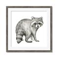 Picture of Forest Raccoon  _GroupedProduct_Square_Mini_ _GroupedProduct_Square_Framed_Matted_