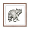 Picture of Forest Raccoon  _GroupedProduct_Square_Mini_ _GroupedProduct_Square_Framed_Matted_