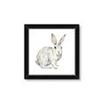 Picture of Forest Bunny _GroupedProduct_Square_Mini_ _GroupedProduct_Square_Framed_Matted_