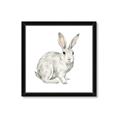 Picture of Forest Bunny _GroupedProduct_Square_Mini_ _GroupedProduct_Square_Framed_Matted_