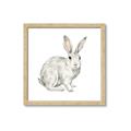 Picture of Forest Bunny _GroupedProduct_Square_Mini_ _GroupedProduct_Square_Framed_Matted_