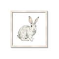 Picture of Forest Bunny _GroupedProduct_Square_Mini_ _GroupedProduct_Square_Framed_Matted_