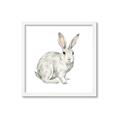Picture of Forest Bunny _GroupedProduct_Square_Mini_ _GroupedProduct_Square_Framed_Matted_