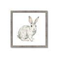 Picture of Forest Bunny _GroupedProduct_Square_Mini_ _GroupedProduct_Square_Framed_Matted_