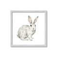 Picture of Forest Bunny _GroupedProduct_Square_Mini_ _GroupedProduct_Square_Framed_Matted_