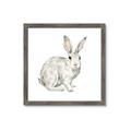 Picture of Forest Bunny _GroupedProduct_Square_Mini_ _GroupedProduct_Square_Framed_Matted_