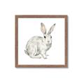Picture of Forest Bunny _GroupedProduct_Square_Mini_ _GroupedProduct_Square_Framed_Matted_