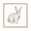 Picture of Forest Bunny _GroupedProduct_Square_Mini_ _GroupedProduct_Square_Framed_Matted_