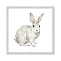 Picture of Forest Bunny _GroupedProduct_Square_Mini_ _GroupedProduct_Square_Framed_Matted_