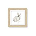 Picture of Forest Bunny _GroupedProduct_Square_Mini_ _GroupedProduct_Square_Framed_Matted_