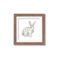 Picture of Forest Bunny _GroupedProduct_Square_Mini_ _GroupedProduct_Square_Framed_Matted_