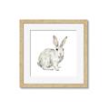 Picture of Forest Bunny _GroupedProduct_Square_Mini_ _GroupedProduct_Square_Framed_Matted_
