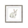 Picture of Forest Bunny _GroupedProduct_Square_Mini_ _GroupedProduct_Square_Framed_Matted_