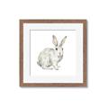 Picture of Forest Bunny _GroupedProduct_Square_Mini_ _GroupedProduct_Square_Framed_Matted_